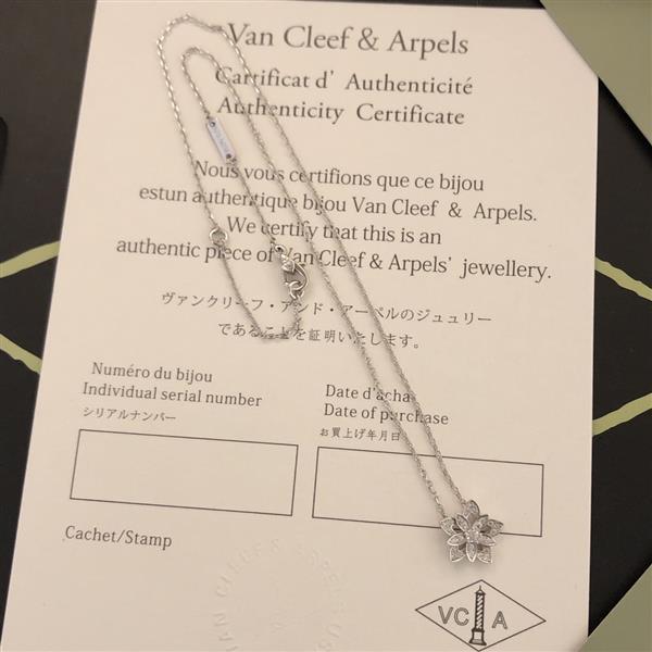 20242614582137 605555